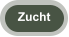 Zucht